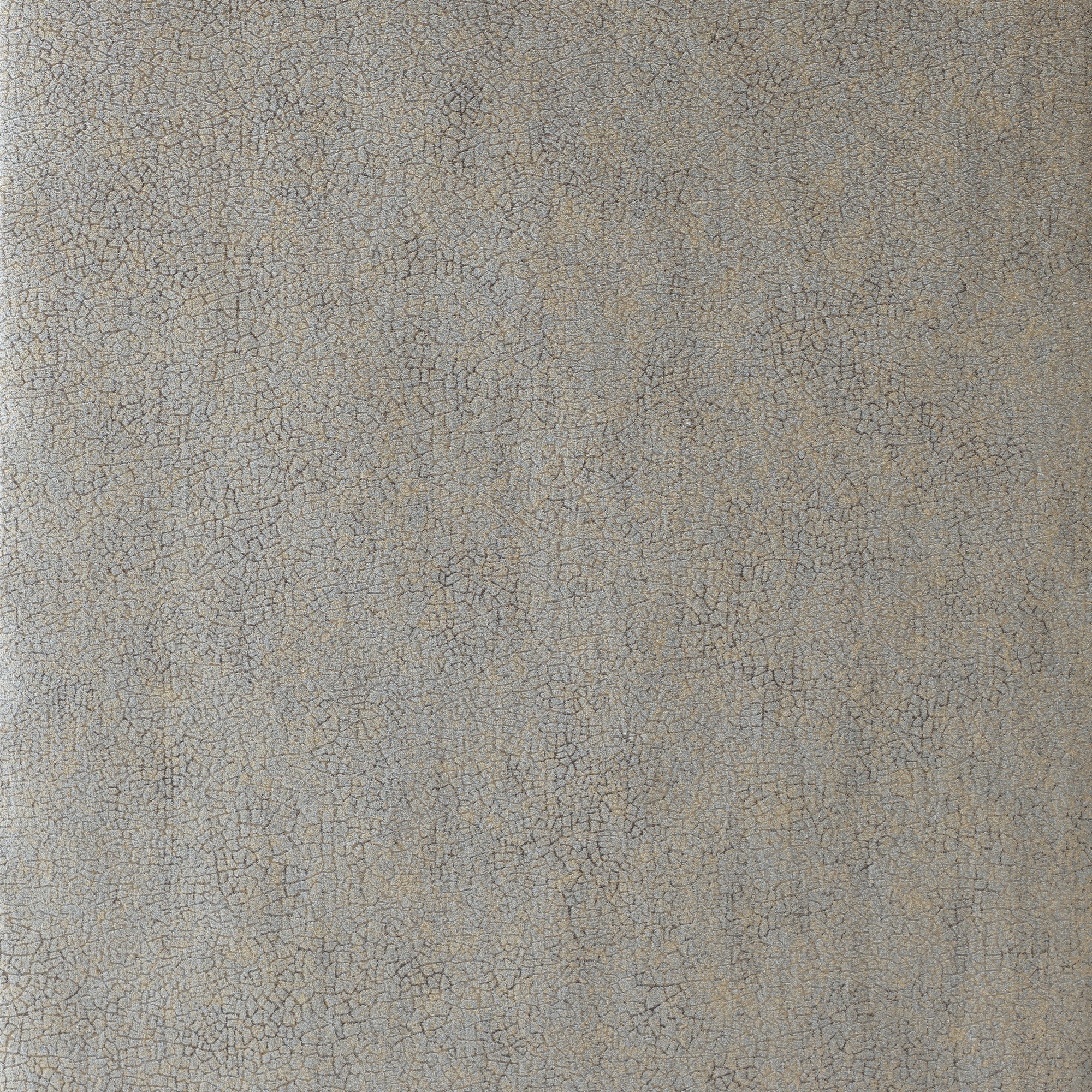 Igneous Wallpaper 111138 By Harlequin In Platinum Grey